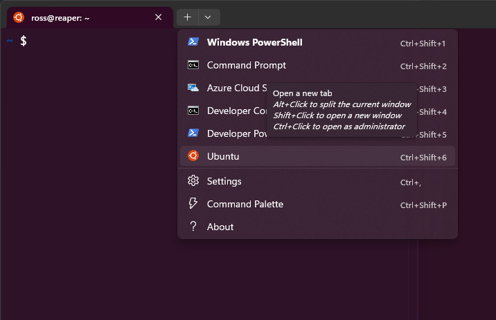 Ubuntu terminal
